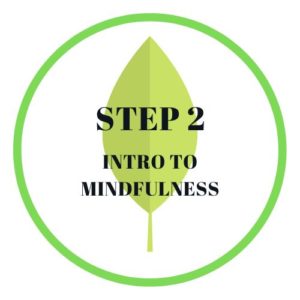 step 2 intro to mindfulness